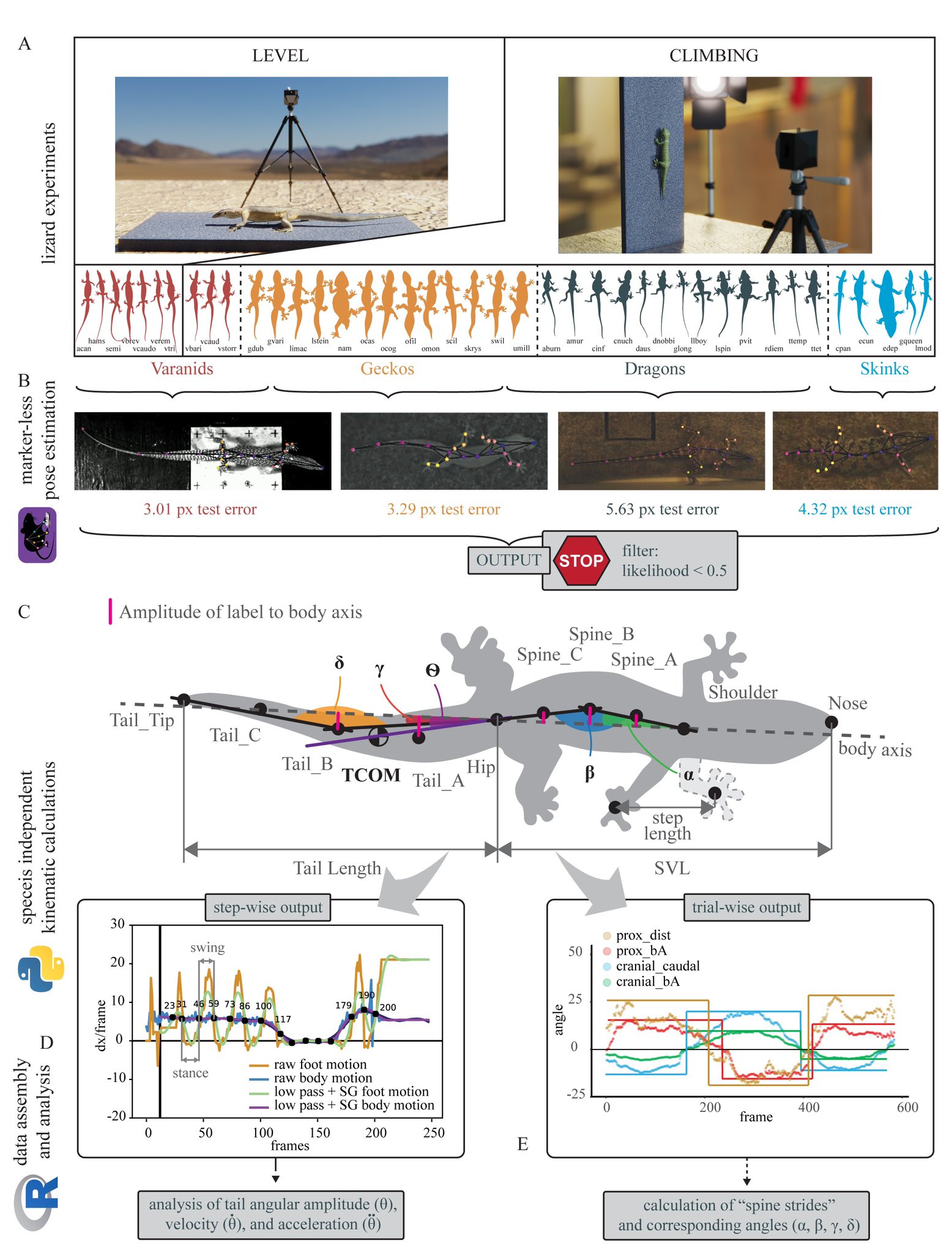 Click for early view paper